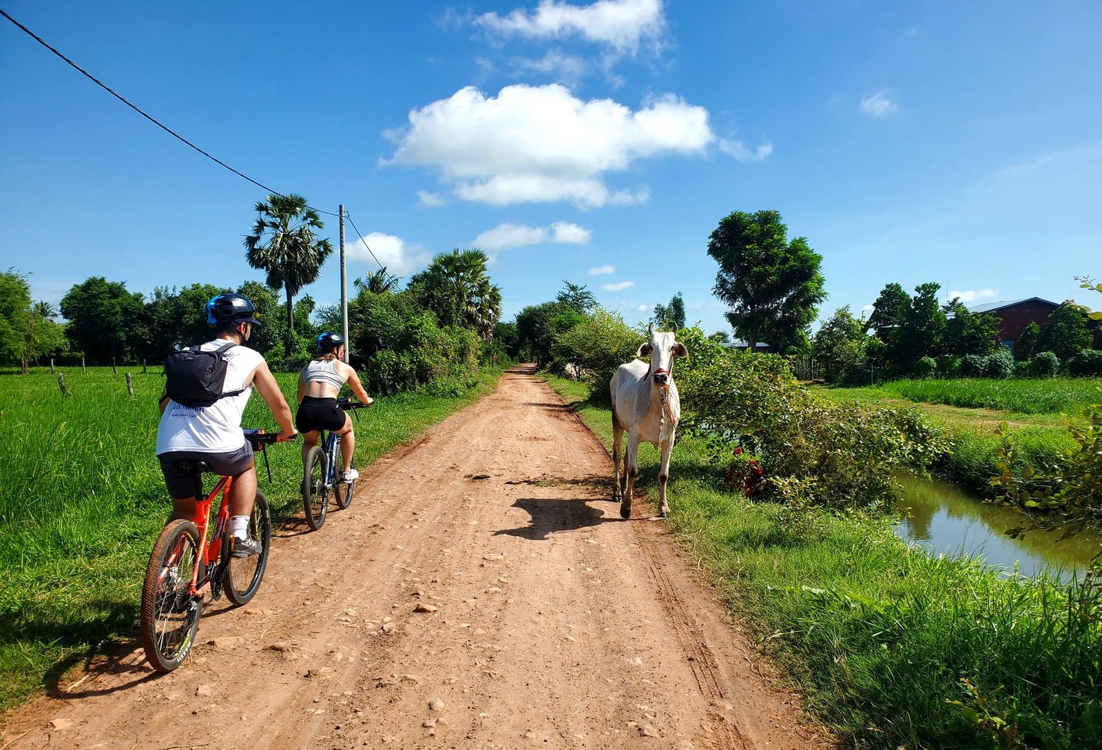 Mekong River and Preah Vihea Cycling Tours 7 Days